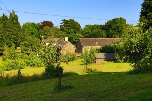 A view out over the back garden and orchard.